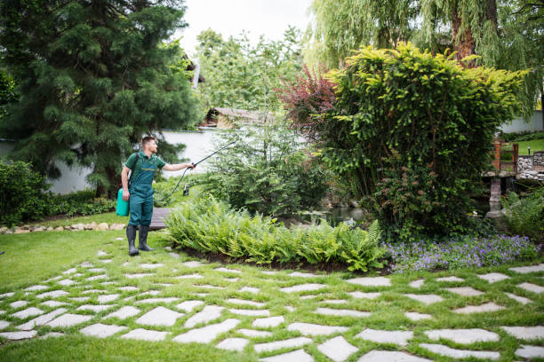 Best Termite Control Services  in Apple Valley, MN