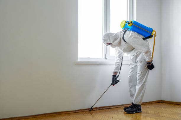 Best Pest Control Near Me  in Apple Valley, MN