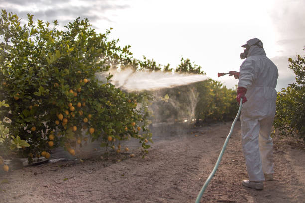 Pest Prevention Services in Apple Valley, MN