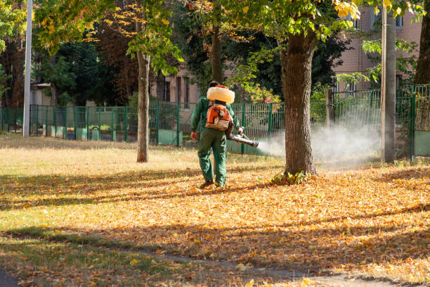 Best Local Pest Control Services  in Apple Valley, MN