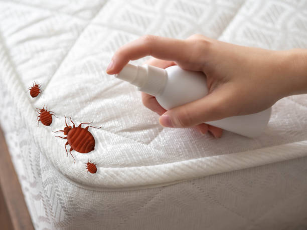 Pest Control Cost in Apple Valley, MN