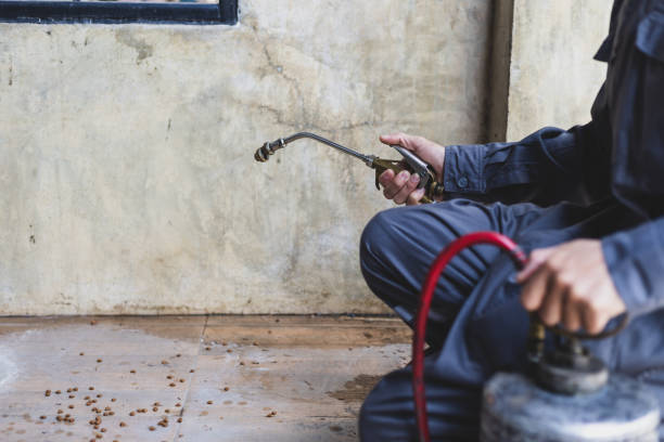 Best Residential Pest Control  in Apple Valley, MN